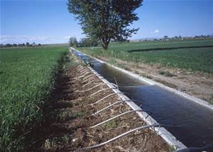 irrigation