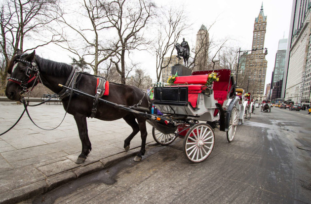 horsecarriage