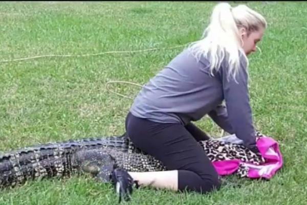 Texas-woman-wakes-to-find-8-foot-alligator-on-back-porch