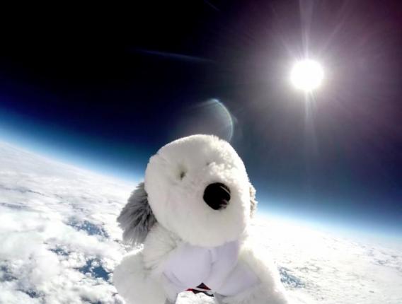 Stuffed-animal-missing-after-being-launched-into-space-by-UK-students