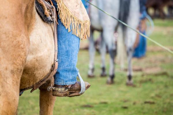 Bicycle-thief-lassoed-by-horse-riding-vigilante-outside-Oregon-Walmart