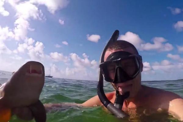 Snorkler-catches-sharks-with-his-bare-hands-off-Florida-Keys
