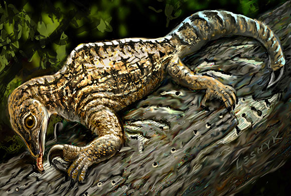 drepanosaurus-a-cross-between-a-chameleon-and-an-anteater