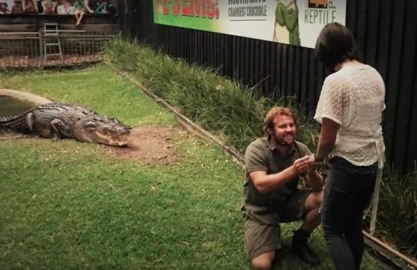 australian-reptile-handler-proposes-to-girlfriend-with-crocodile-as-witness