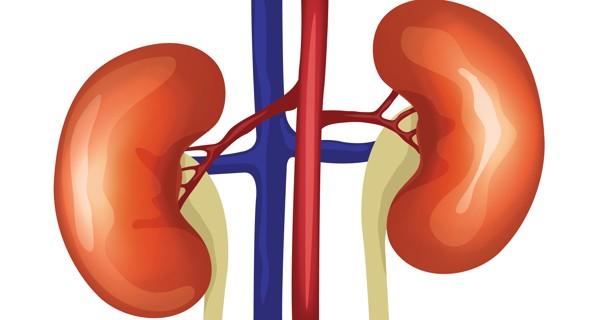 kidney-disease