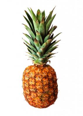 Prank-pineapple-left-at-Scottish-gallery-included-in-modern-art-show