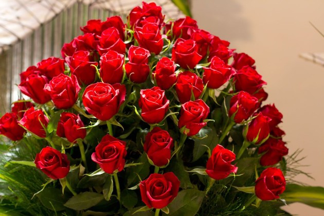 Valentines-Day-Red-Rose